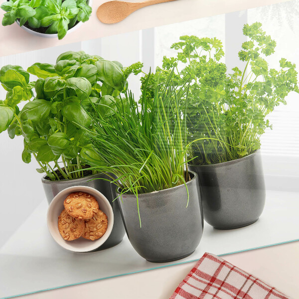 Glass cutting board Herbs in pots