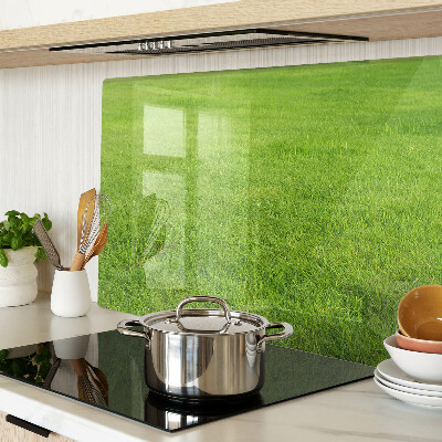 Glass kitchen board Green grass