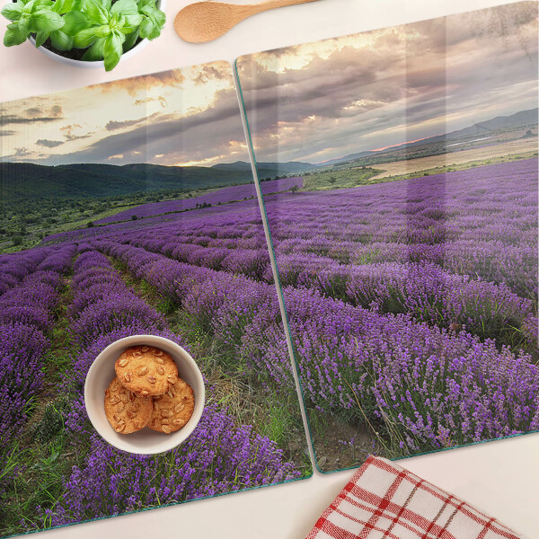 Chopping board glass Lavender field at sunset