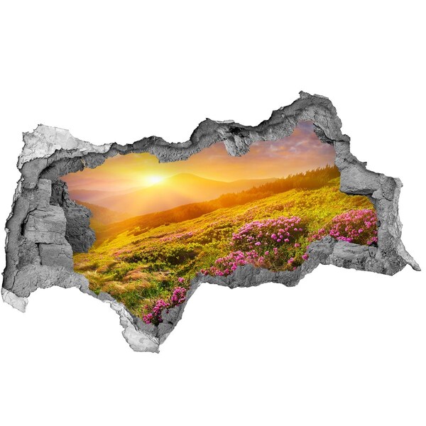 Hole wall sticker Mountain landscape at sunset
