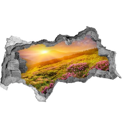 Hole wall sticker Mountain landscape at sunset