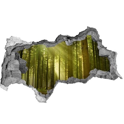 Hole in the wall sticker Green forest in the morning