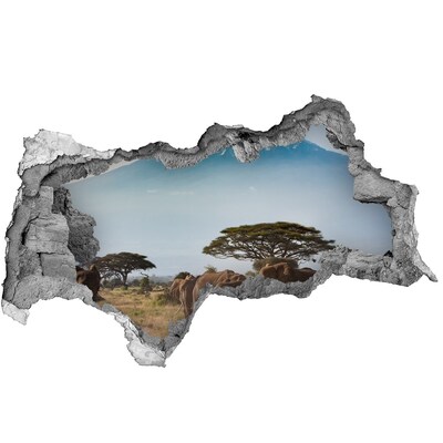 Hole wall sticker African savannah with elephants