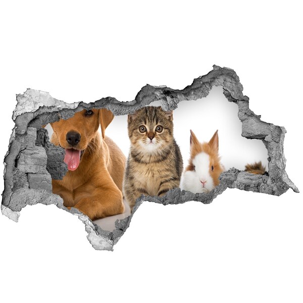 Hole in the wall sticker Dog and cat