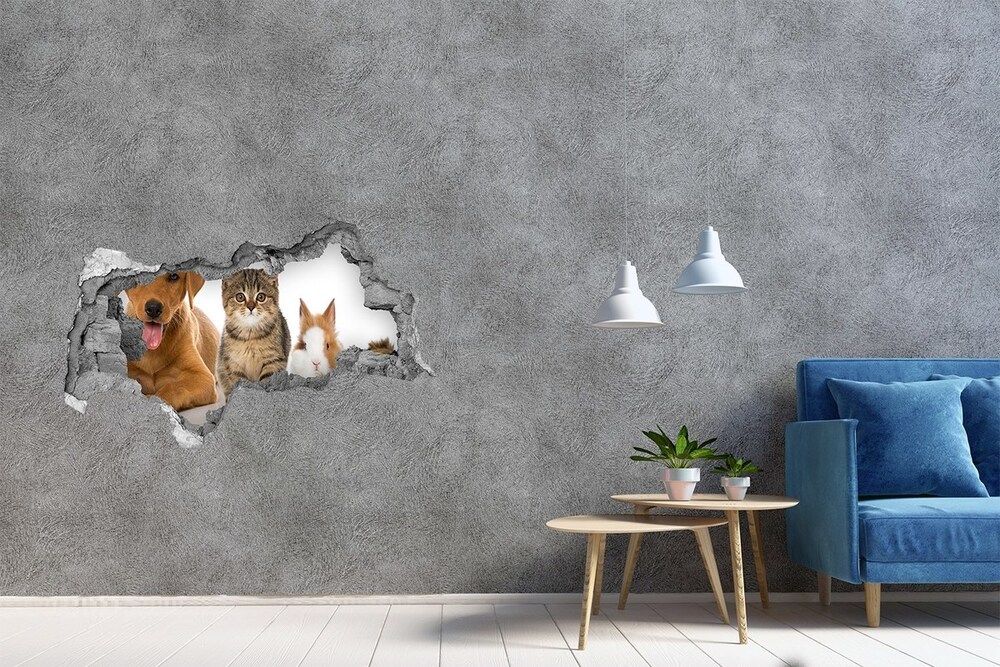 Hole in the wall sticker Dog and cat