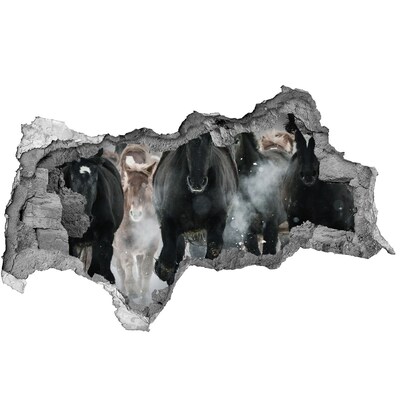 Hole wall sticker Horses galloping through the wall