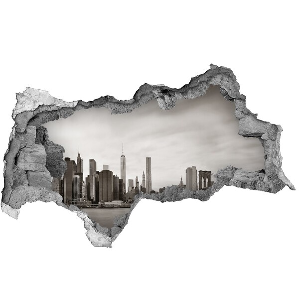 Hole in the wall decal View of New York