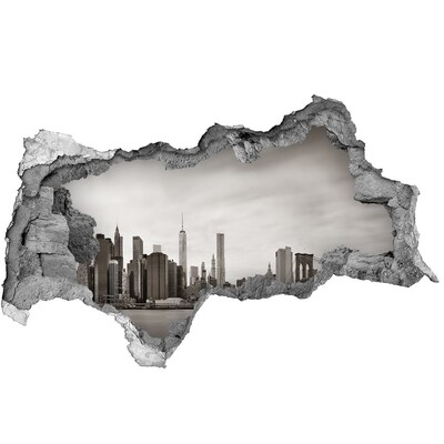 Hole in the wall decal View of New York