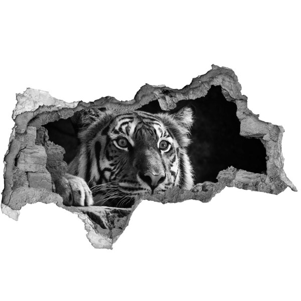 Hole in the wall decal Tiger in a Hole in the Wall