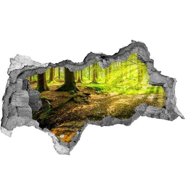 Hole wall sticker Green forest with a stream