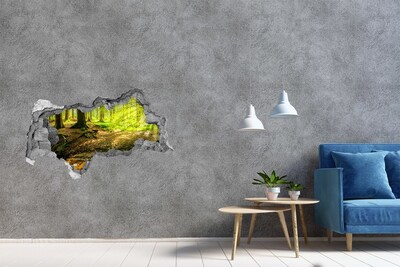 Hole wall sticker Green forest with a stream