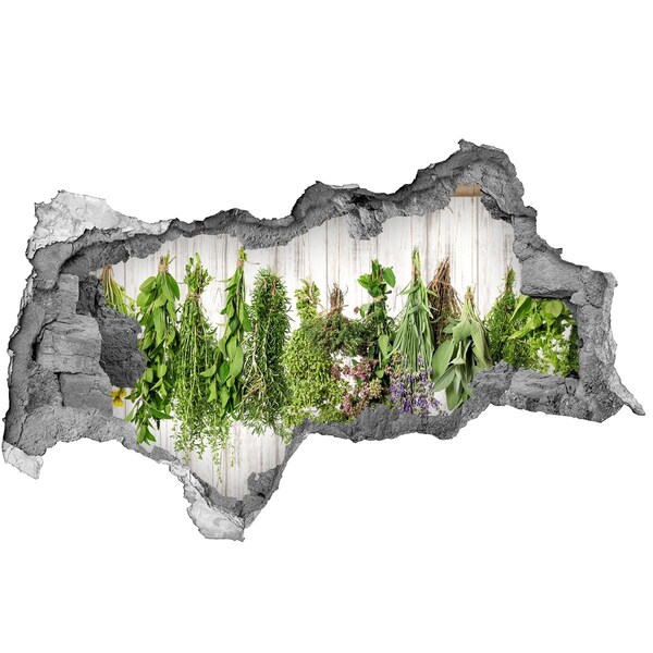 Hole in the wall decal Herbs on a string