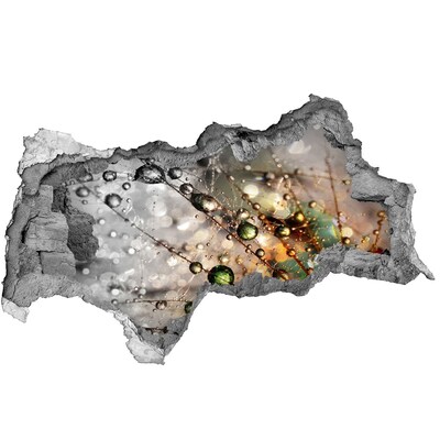 Hole wall sticker Crystal structure in light