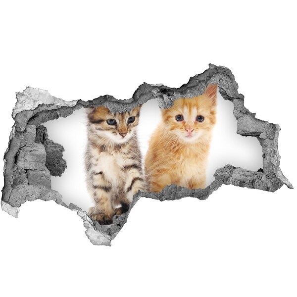 Hole in the wall decal Cat friends behind the hole