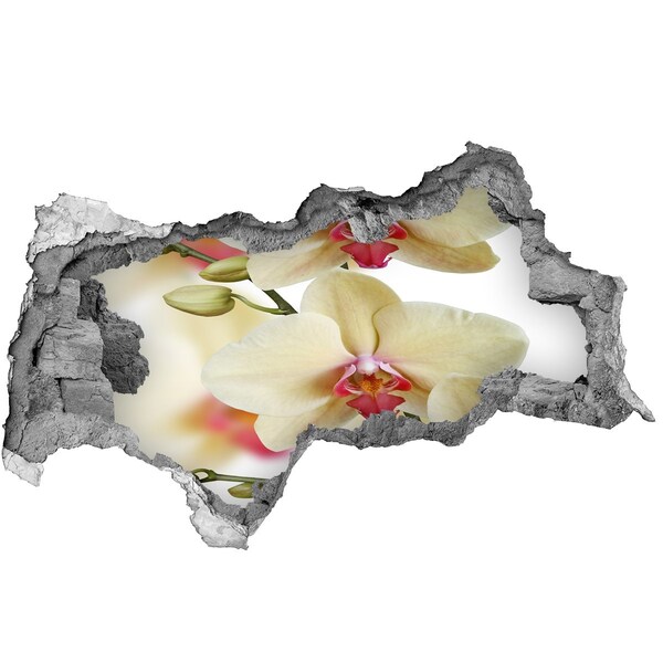 Hole in the wall sticker Orchids in a broken wall