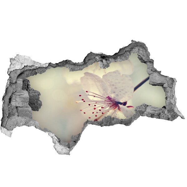 Hole in the wall sticker A floral dream behind the wall