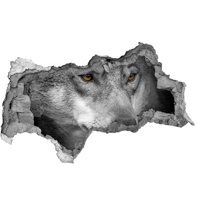 Hole in the wall sticker Wolf in ruins