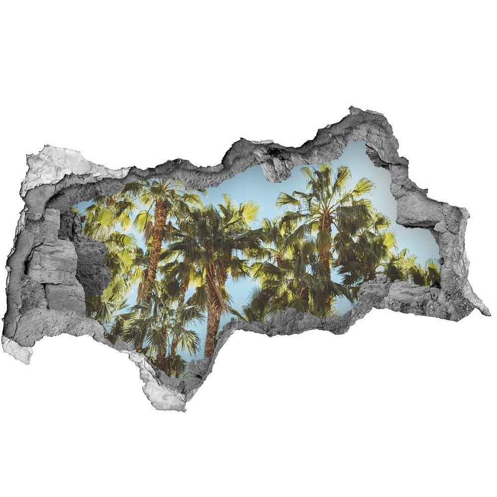 Hole in the wall sticker High palm trees