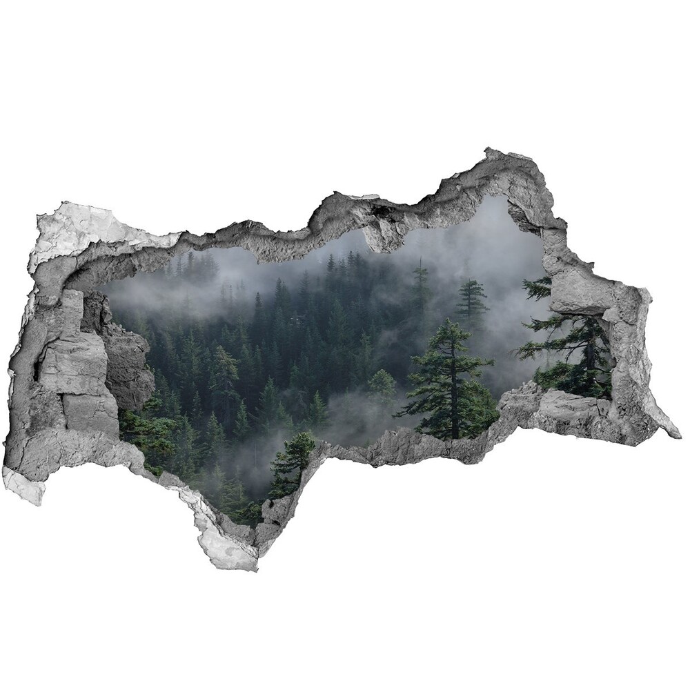 Hole wall sticker Forest fog