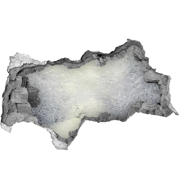 Hole in the wall decal Winter landscape behind the wall