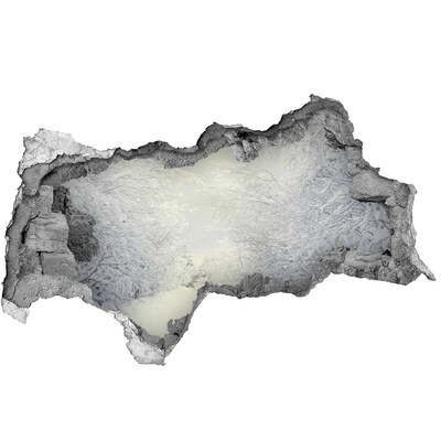 Hole in the wall decal Winter landscape behind the wall