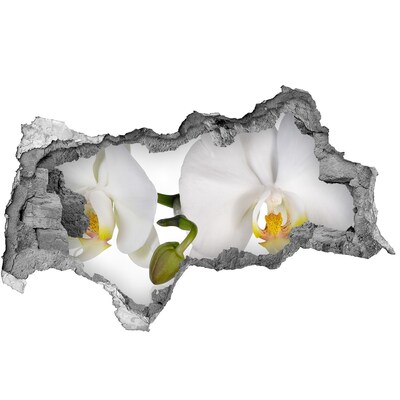 Hole wall sticker Orchid flowers in concrete