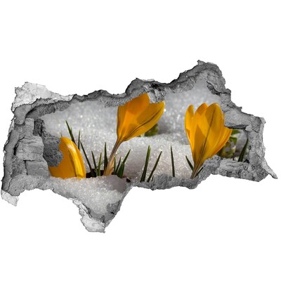 Hole in the wall decal Crocuses in the snow