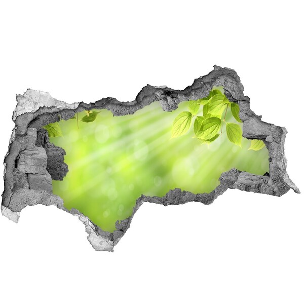 Hole wall sticker Green paradise behind the wall