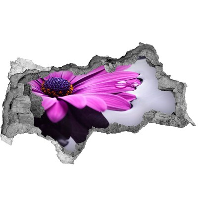 Hole wall sticker A floral oasis behind the wall