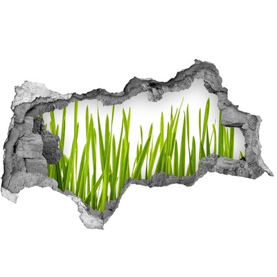 Hole wall sticker Grass