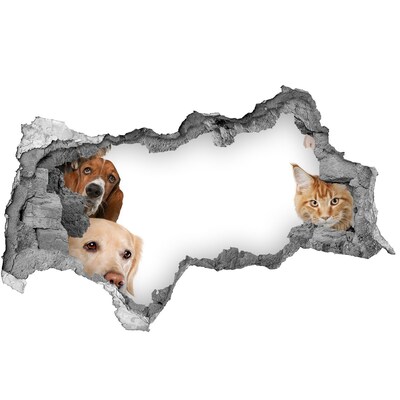 Hole in the wall decal Dogs and cats