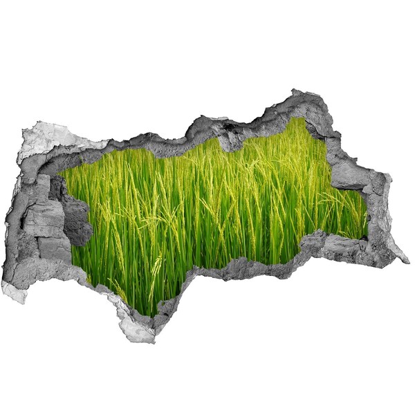 Hole wall sticker Green rice fields