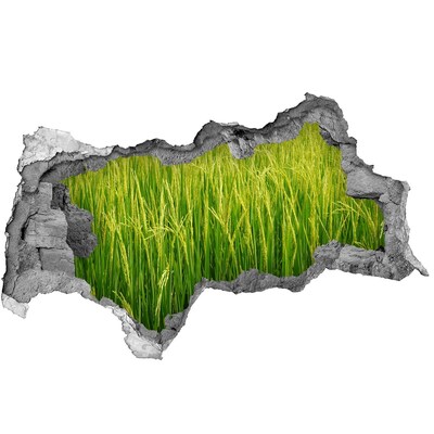 Hole wall sticker Green rice fields