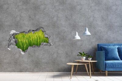 Hole wall sticker Green rice fields