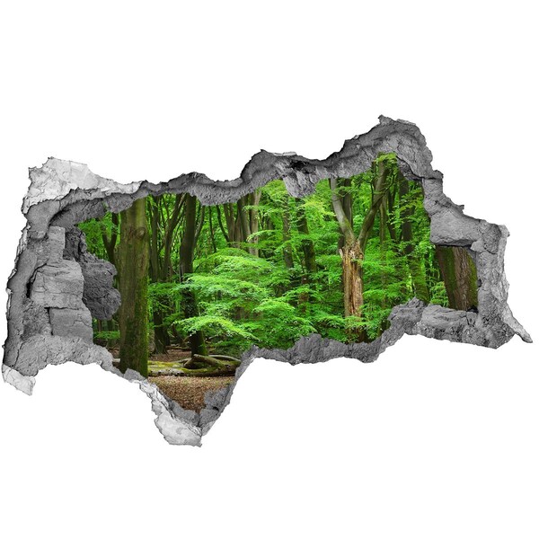 Hole wall sticker Green Forest in a Hole in the Wall