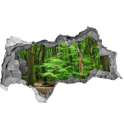 Hole wall sticker Green Forest in a Hole in the Wall