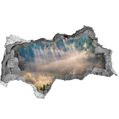 Hole in the wall decal Forest landscape behind the wall