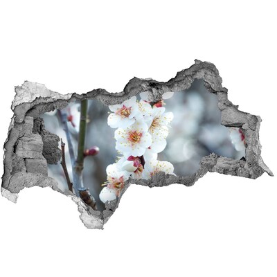 Hole in the wall decal Spring Flowers Through a Hole in the Wall