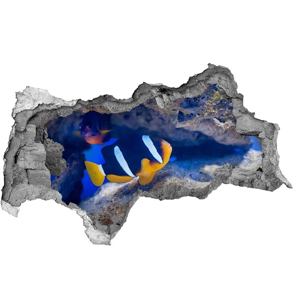 Hole wall sticker The underwater world of the coral reef