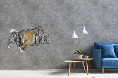 Hole in the wall sticker Autumn birch alley
