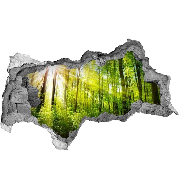 Hole in the wall decal Green forest with sun rays