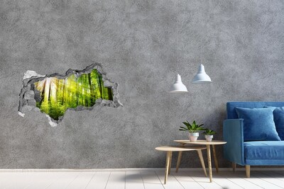 Hole in the wall decal Green forest with sun rays