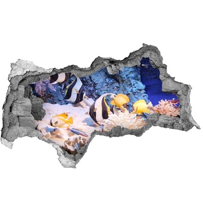 Hole wall sticker The underwater world of the coral reef