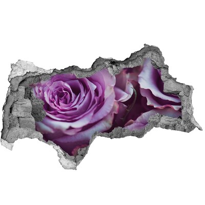 Hole wall sticker Purple roses