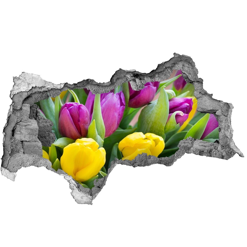 Hole in the wall decal Colorful tulips