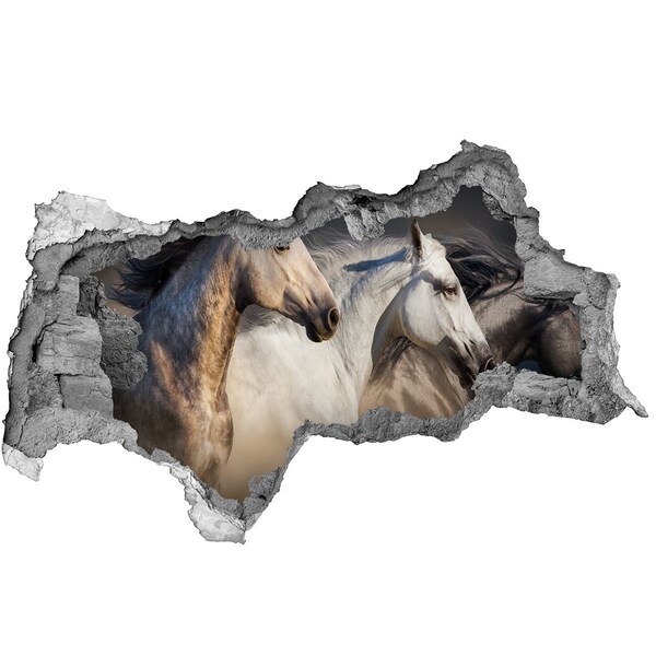 Hole wall sticker Two horses in motion
