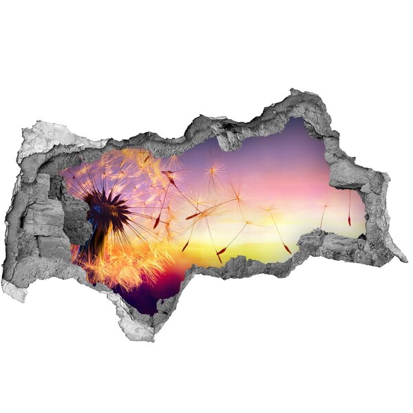 Hole in the wall sticker Flower dreams at sunset