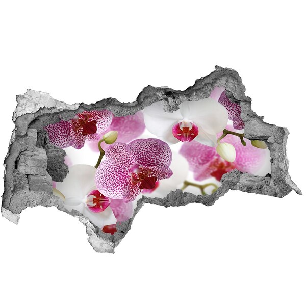 Hole wall sticker Orchid wall mural