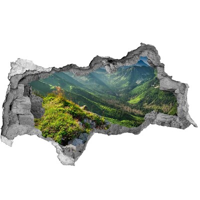 Hole in the wall decal Mountain landscape through a hole in the wall