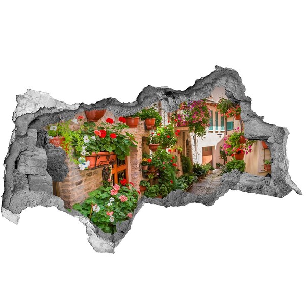 Hole in the wall decal Italian streets